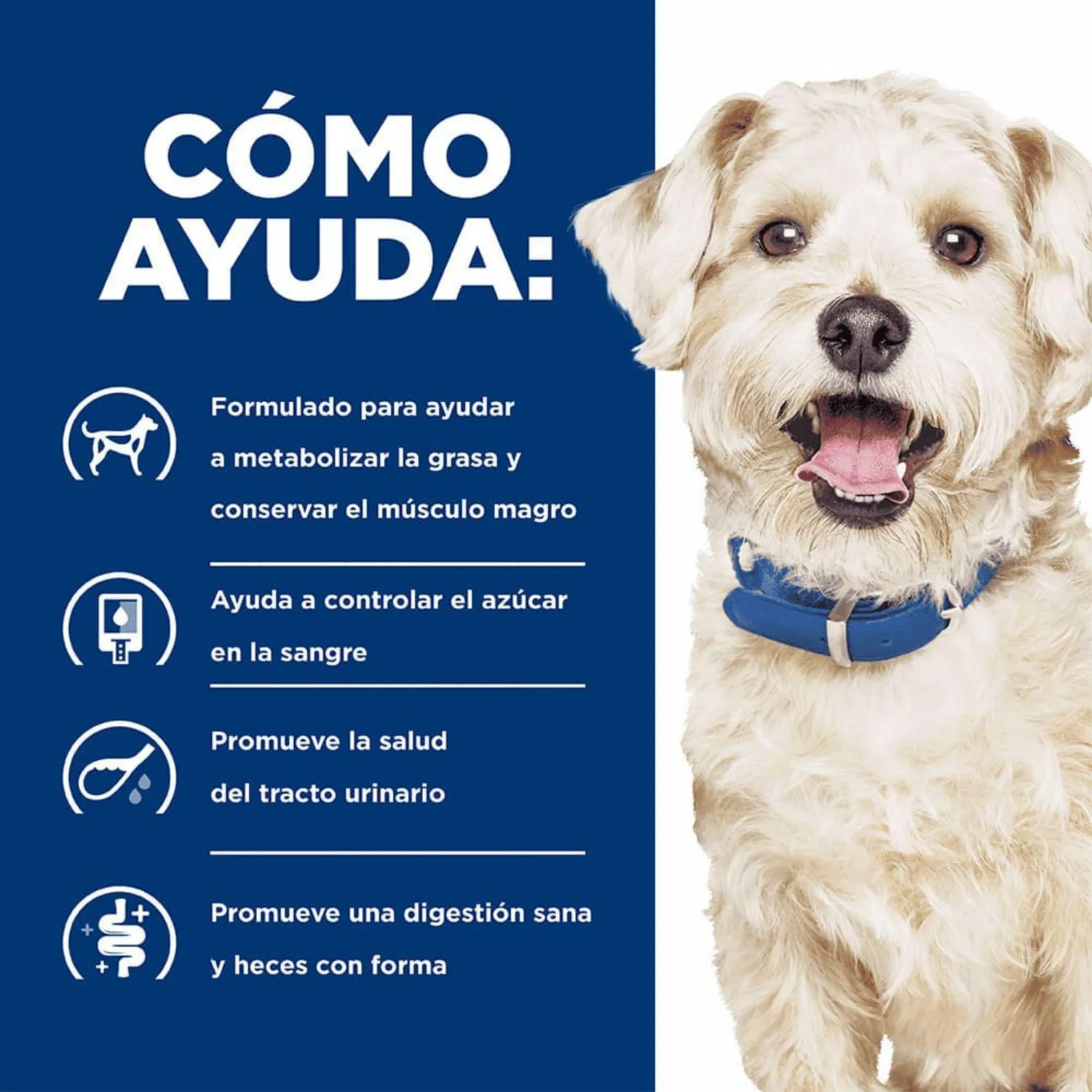 Comida Seca Para Perro Hills Prescription Diet Multi-Benefit 3.86kg 5