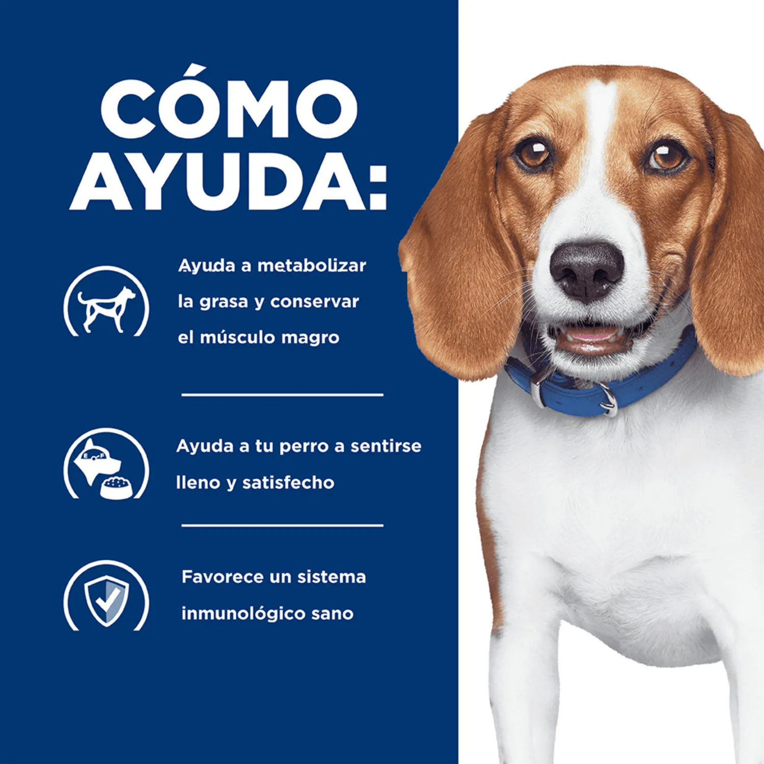 Comida Seca Para Perro Hills Prescription Diet Weight Loss 12.47kg 4