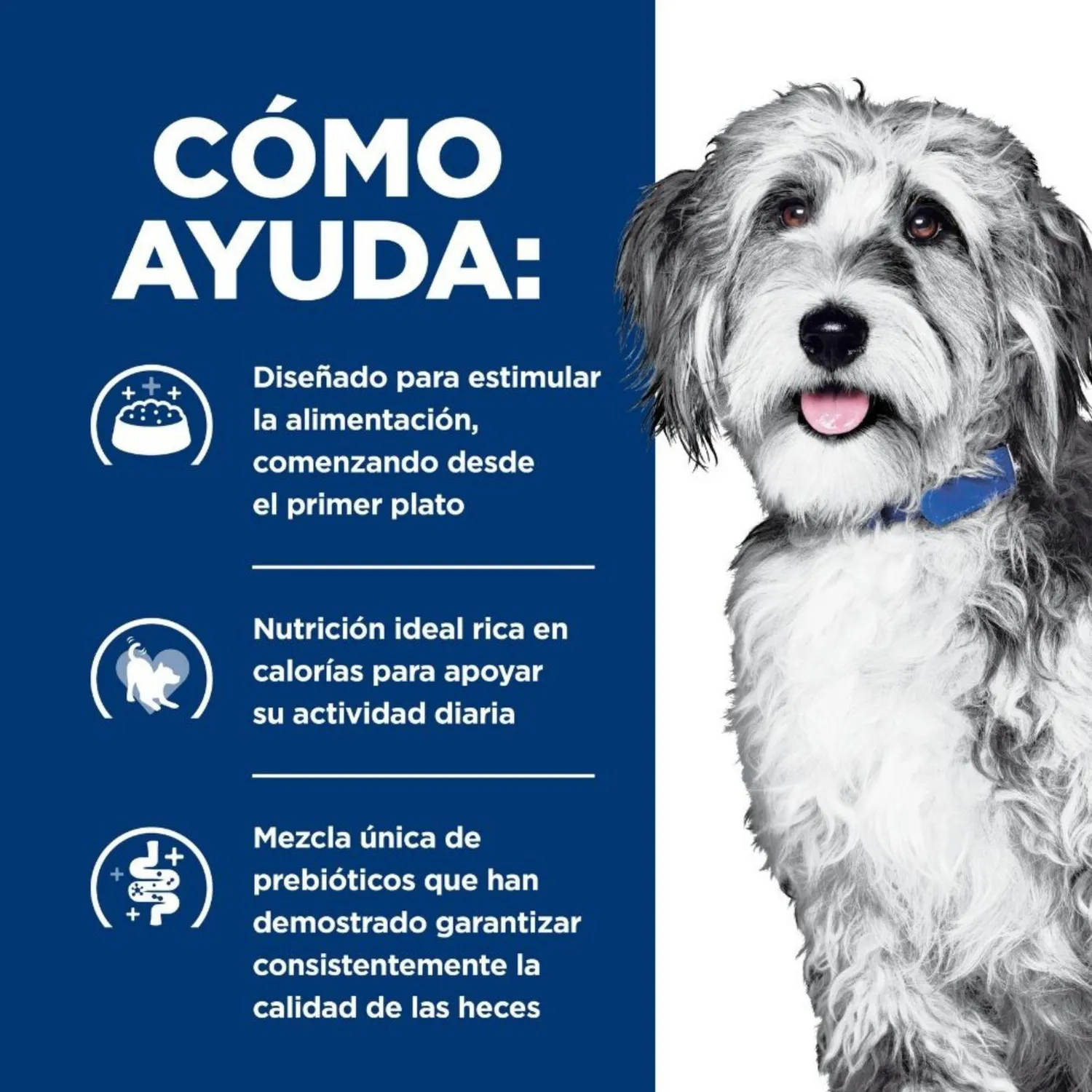Comida Seca Para Perro Hills Onc Care 2.7kg 3