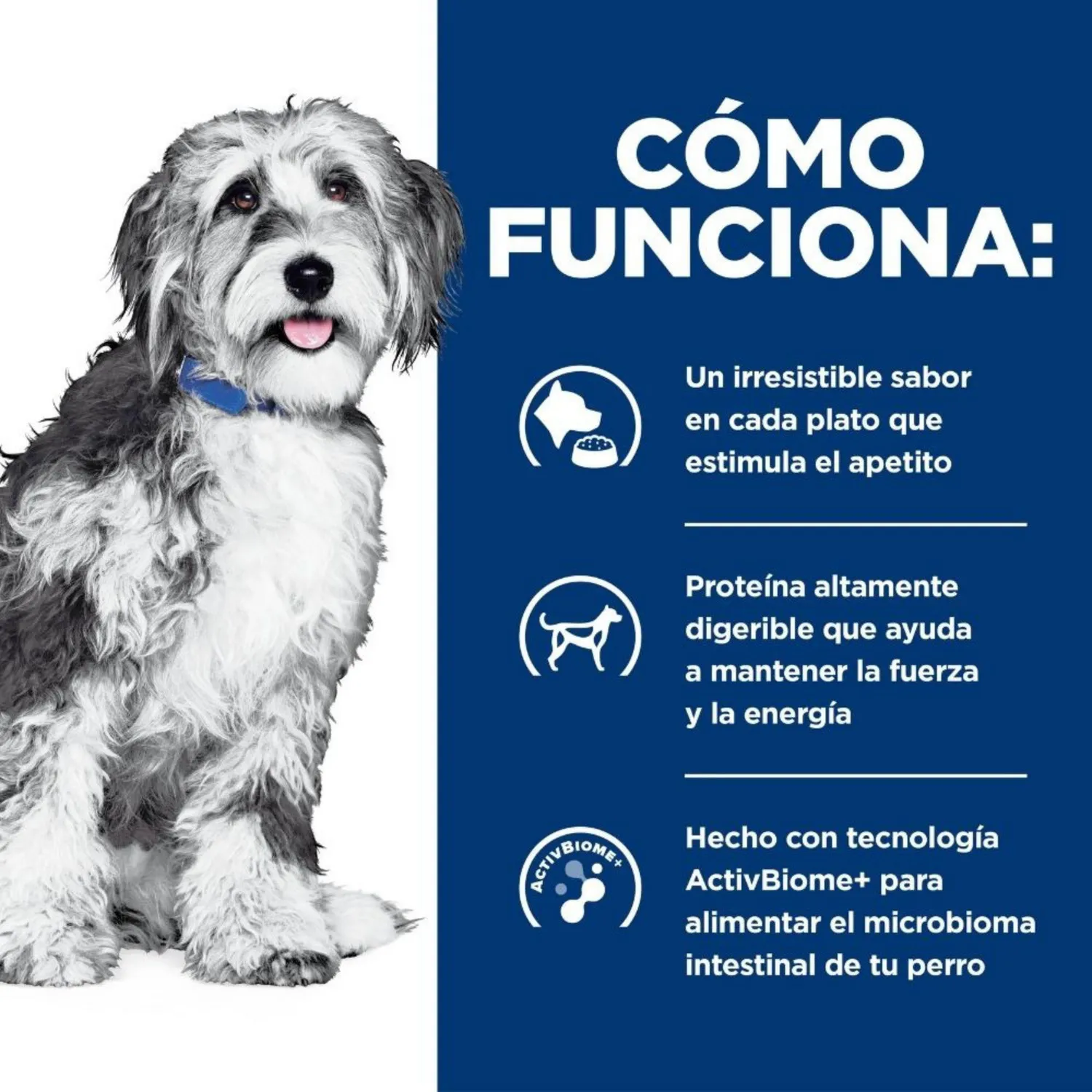Comida Seca Para Perro Hills Onc Care 2.7kg 5