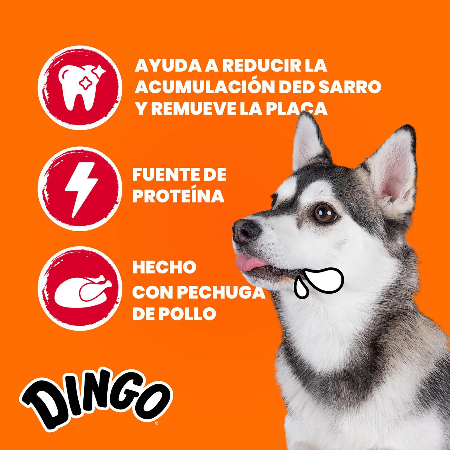 Snack Dingo 3 Sabores Kabobs 5unds 4