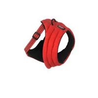 Kong Arnés Comfort Small Rojo