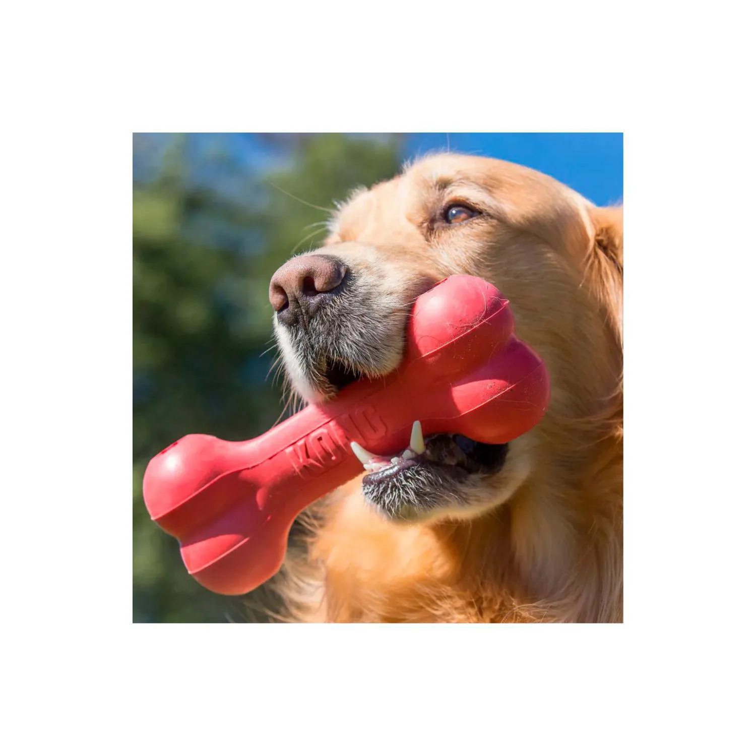 Kong Perro Caucho Classic Hueso Large