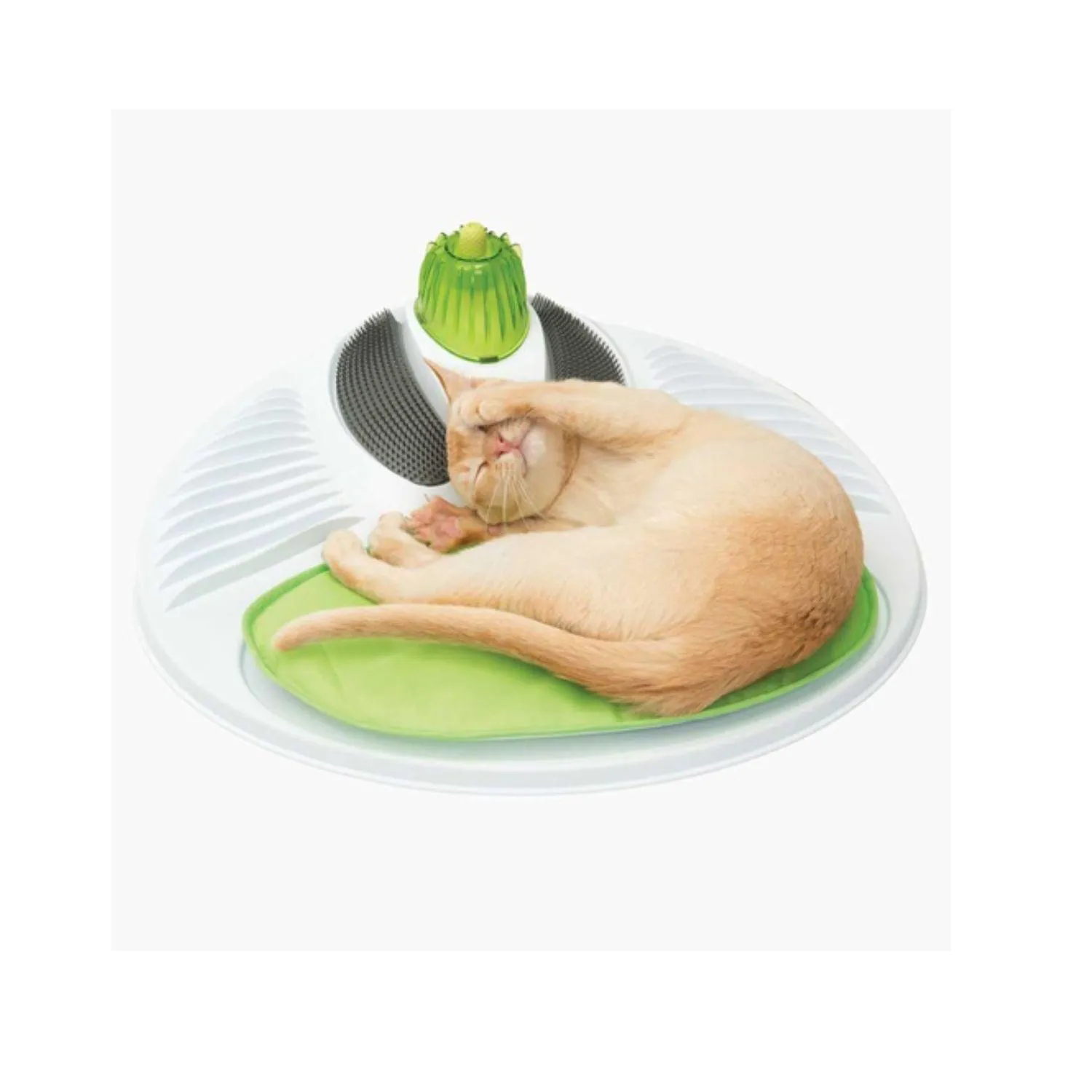 Catit Senses Wellness Center Estacion Bienes