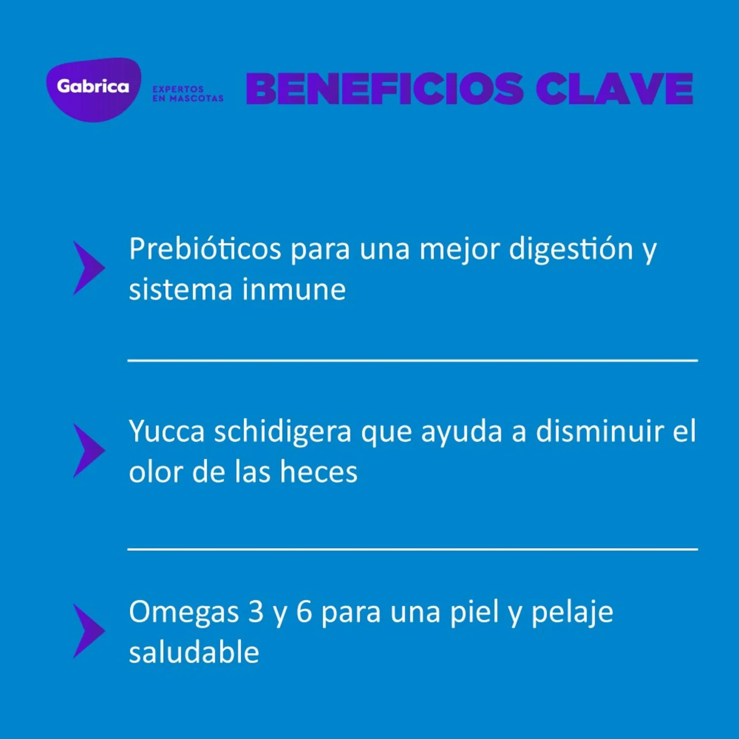 Comida Seca Para Perro Cachorro Guaumor Raza Pequeña 8kg