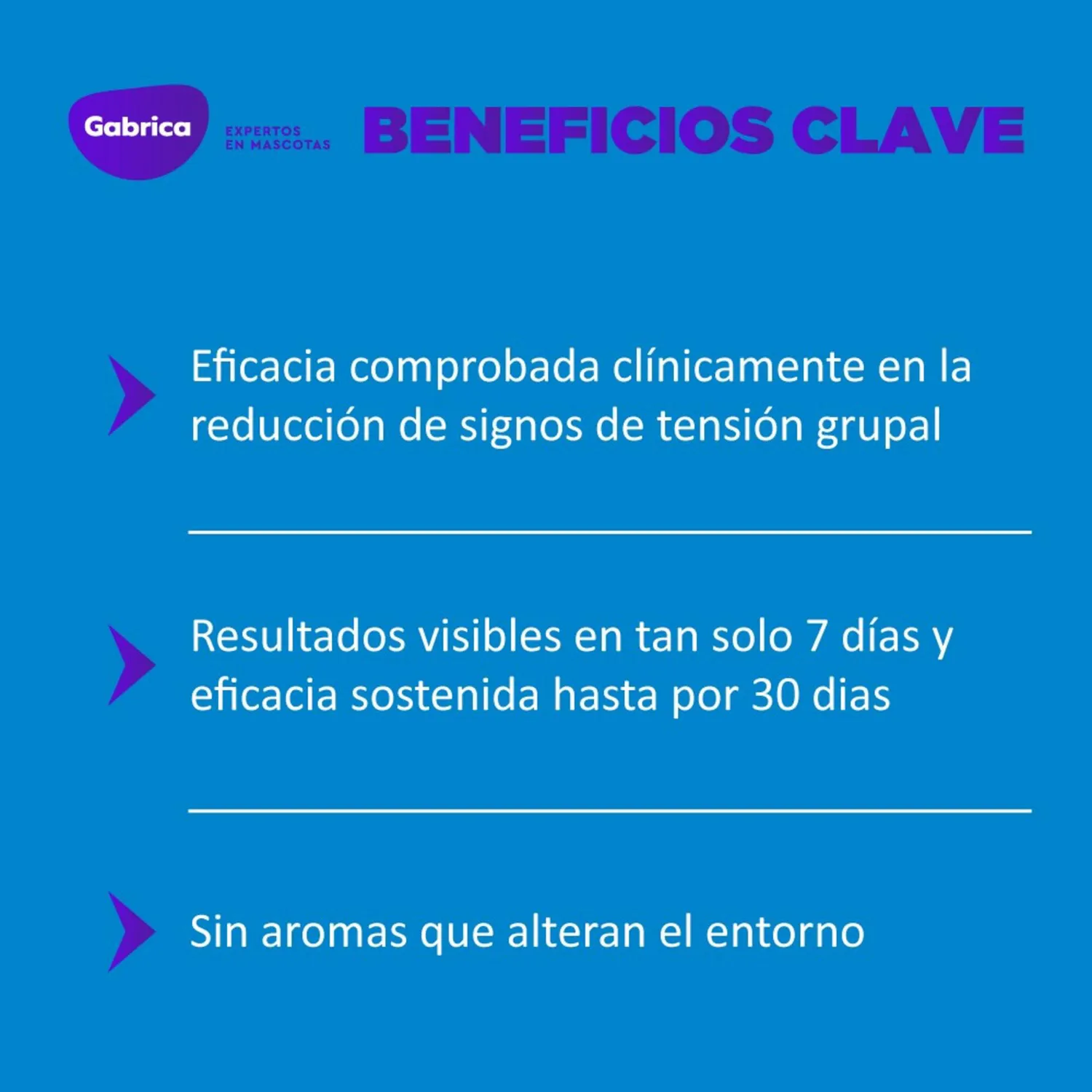 Recarga Esencia Feliway 48ml