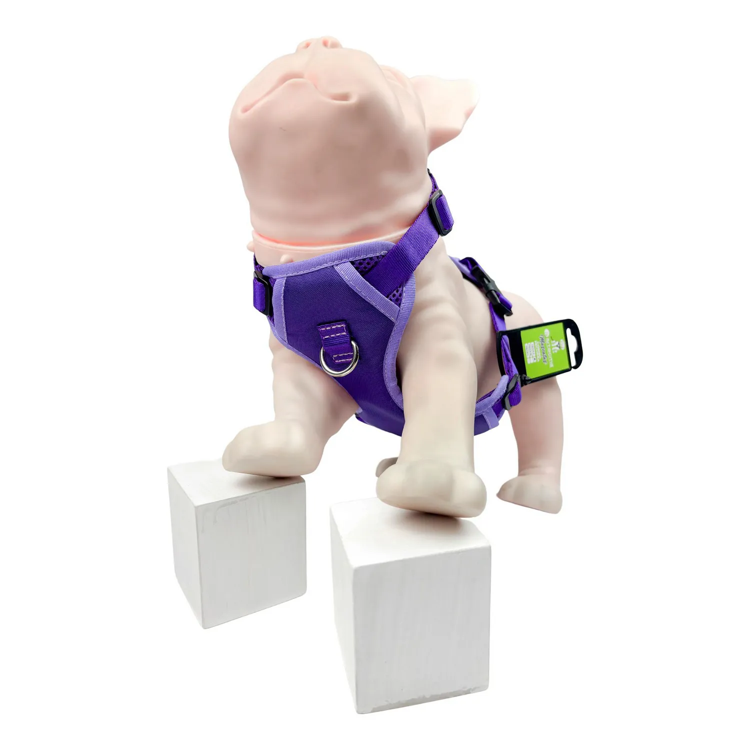 Pechera Mascota Talla S Morado y Lila