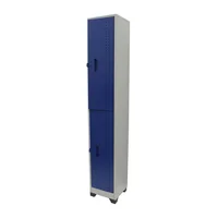 Locker IMG 2 Puestos Gris-Azul Set X 3 Unidades