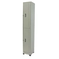Locker IMG 2 Puestos Gris Set X 5 Unidades