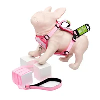 Pechera y Correa Para Perro Rosado y Fucsia Talla m