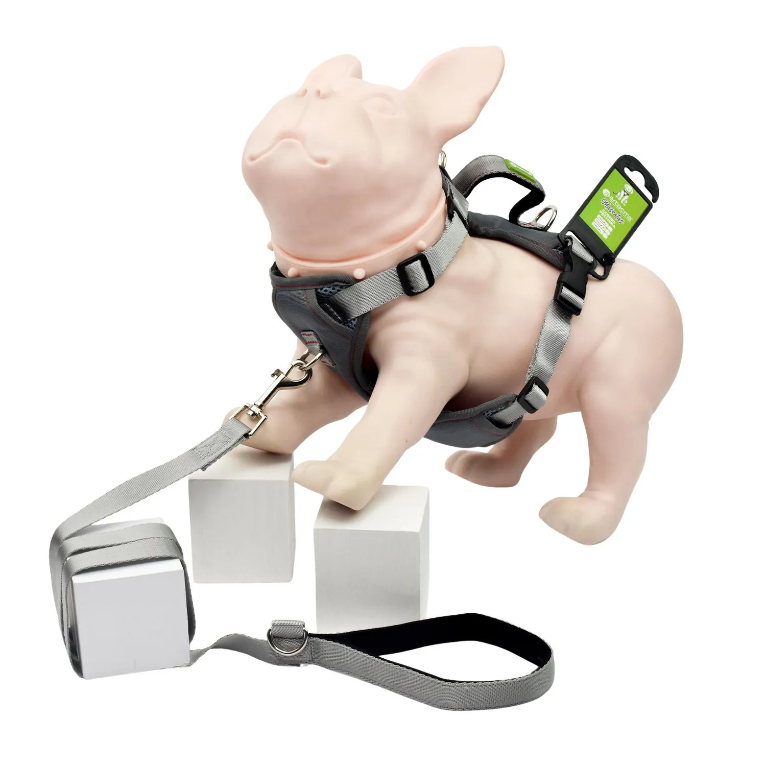 Pechera y Correa Para Perro Gris Talla S