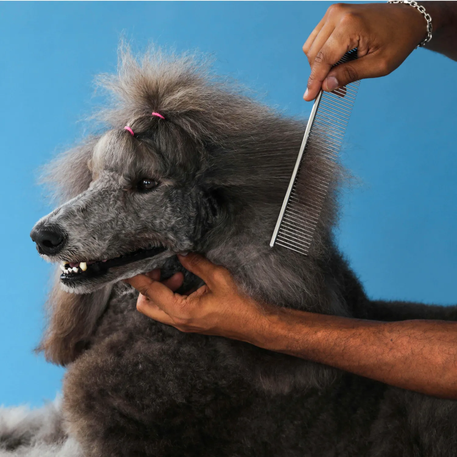Peine Peluqueria Canina Acero N 10
