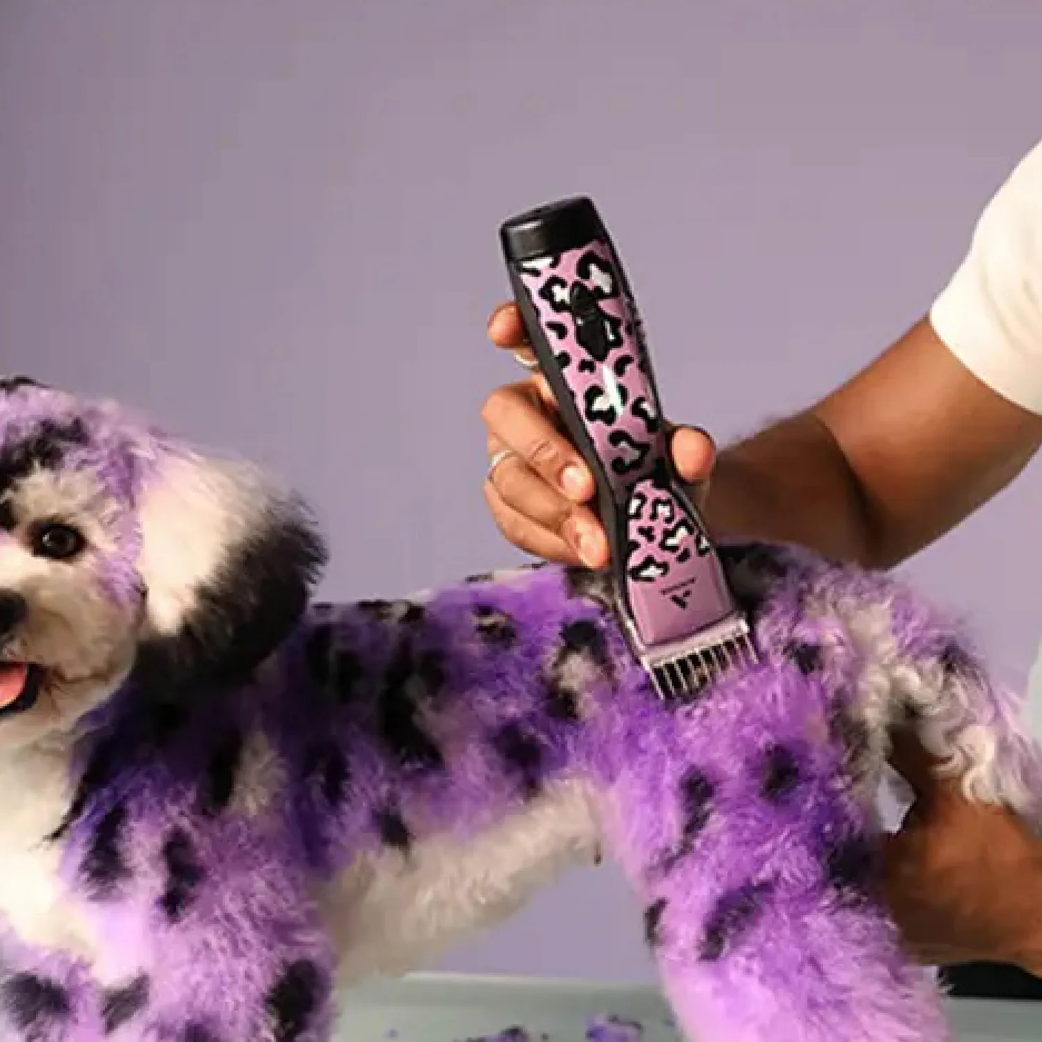 Máquina Peluqueria Canina Inalámbrica Pulse Wild 5 Vel