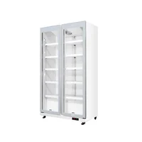 Vitrina Vertical Refrigerada Dos Puertas Estar 25-Vv 710 Litros
