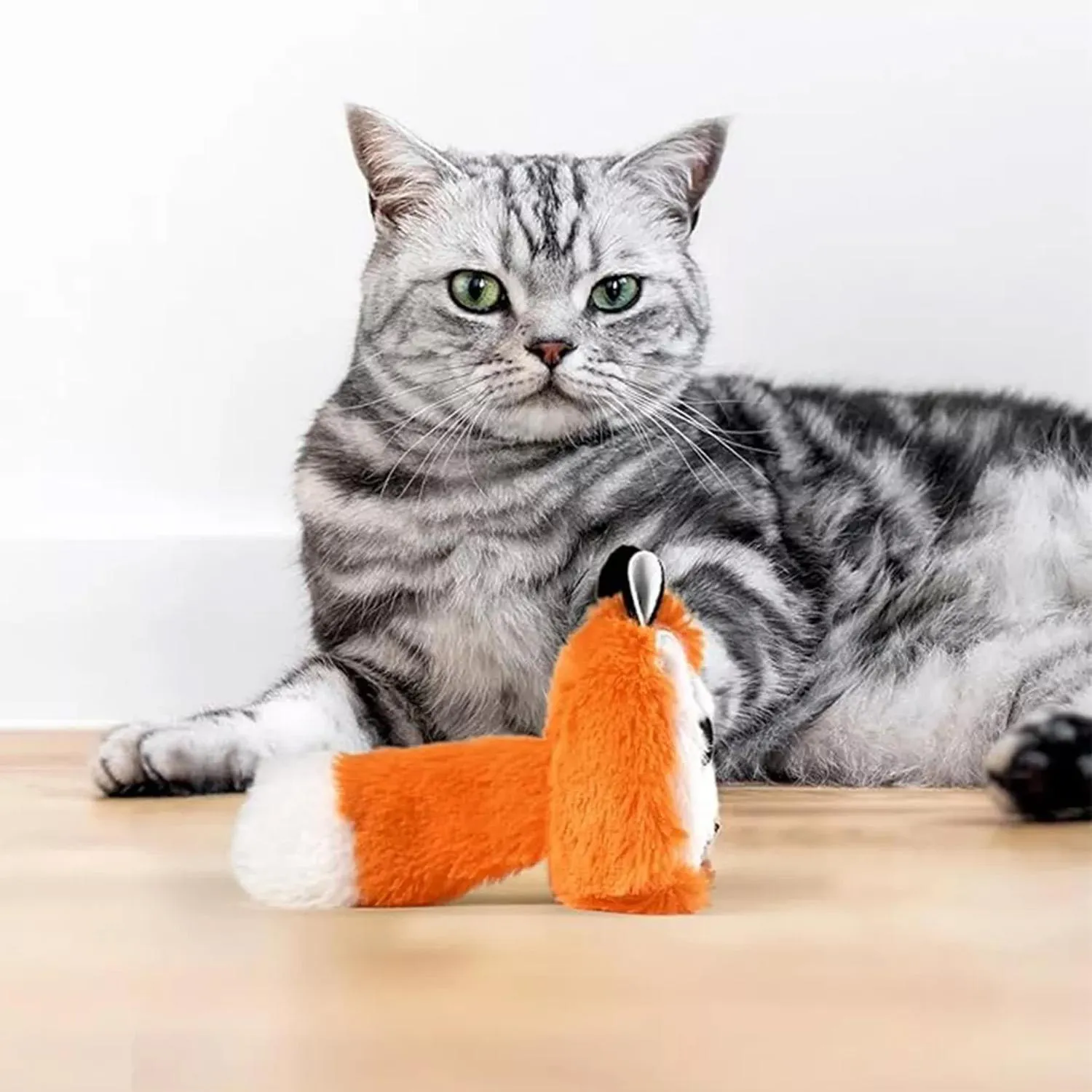Zorro Floppy Catnip