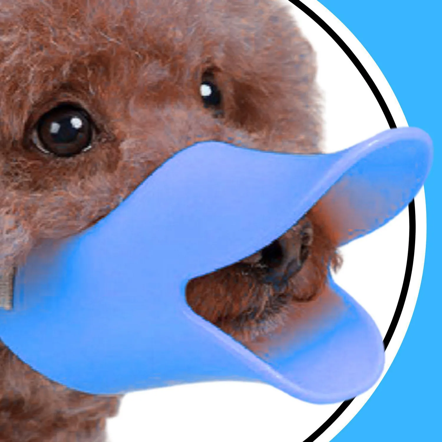 Bozal Perro Forma de Pato Talla S 7x4.5cm Azul