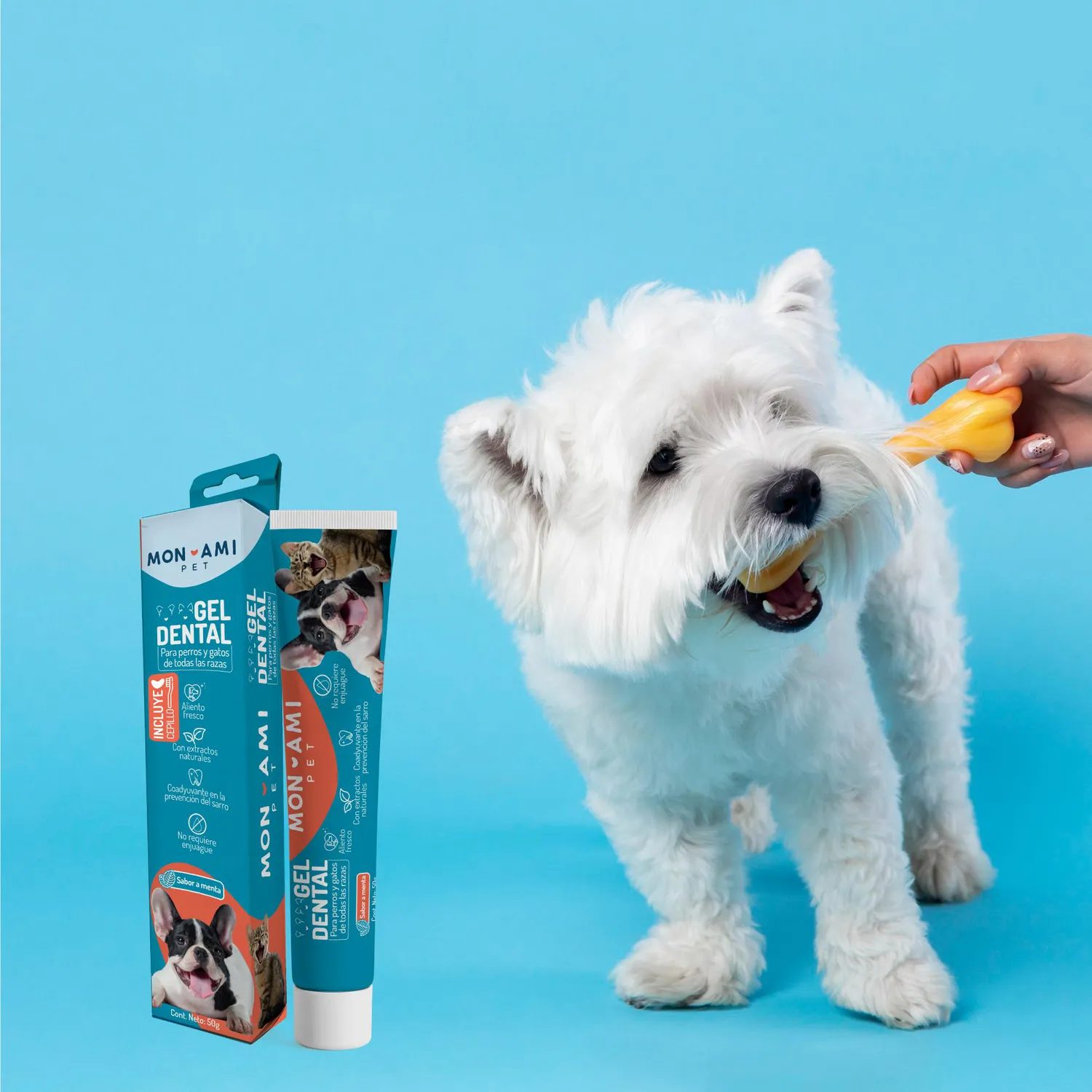 Gel Dental Mascotas Monami