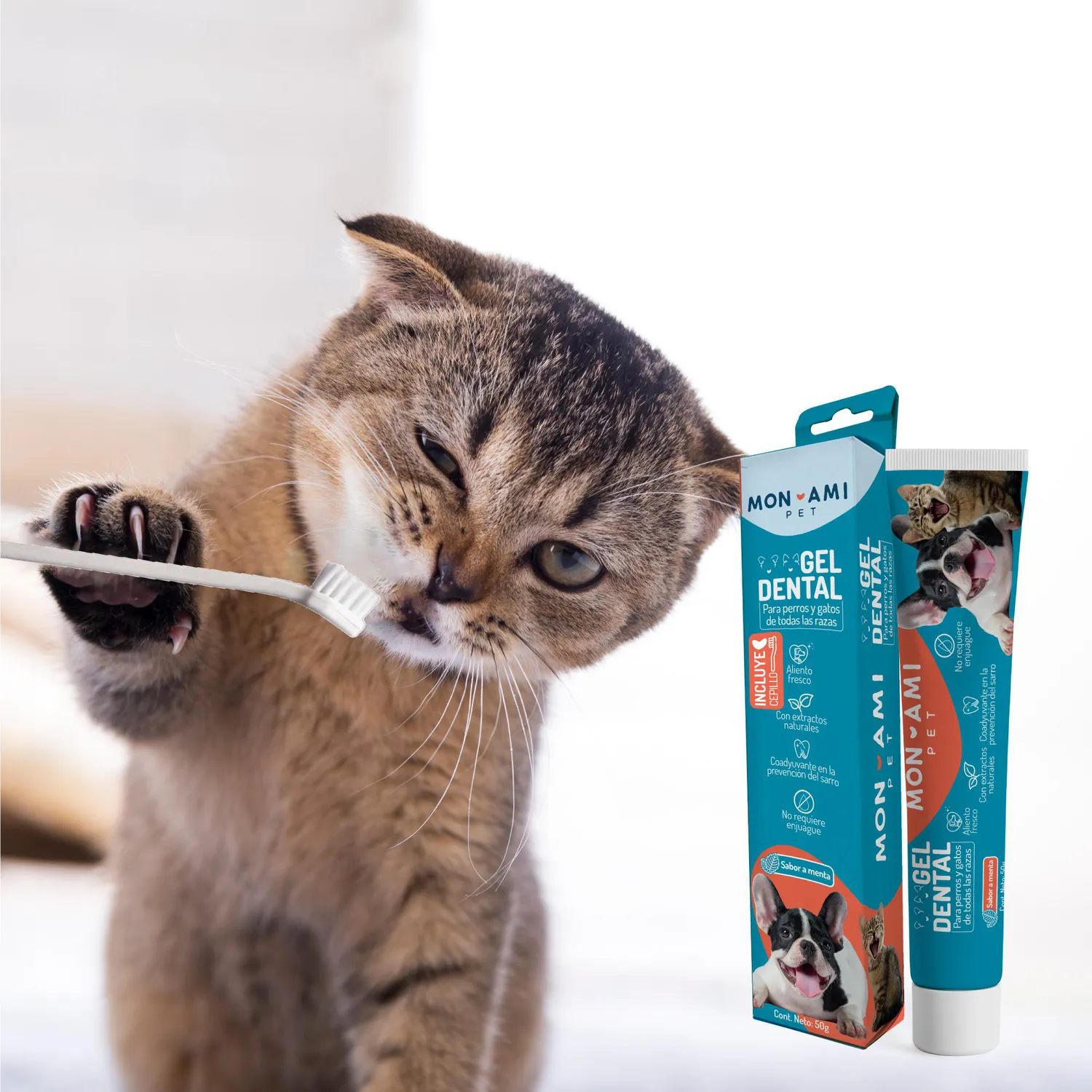 Gel Dental Mascotas Monami 3