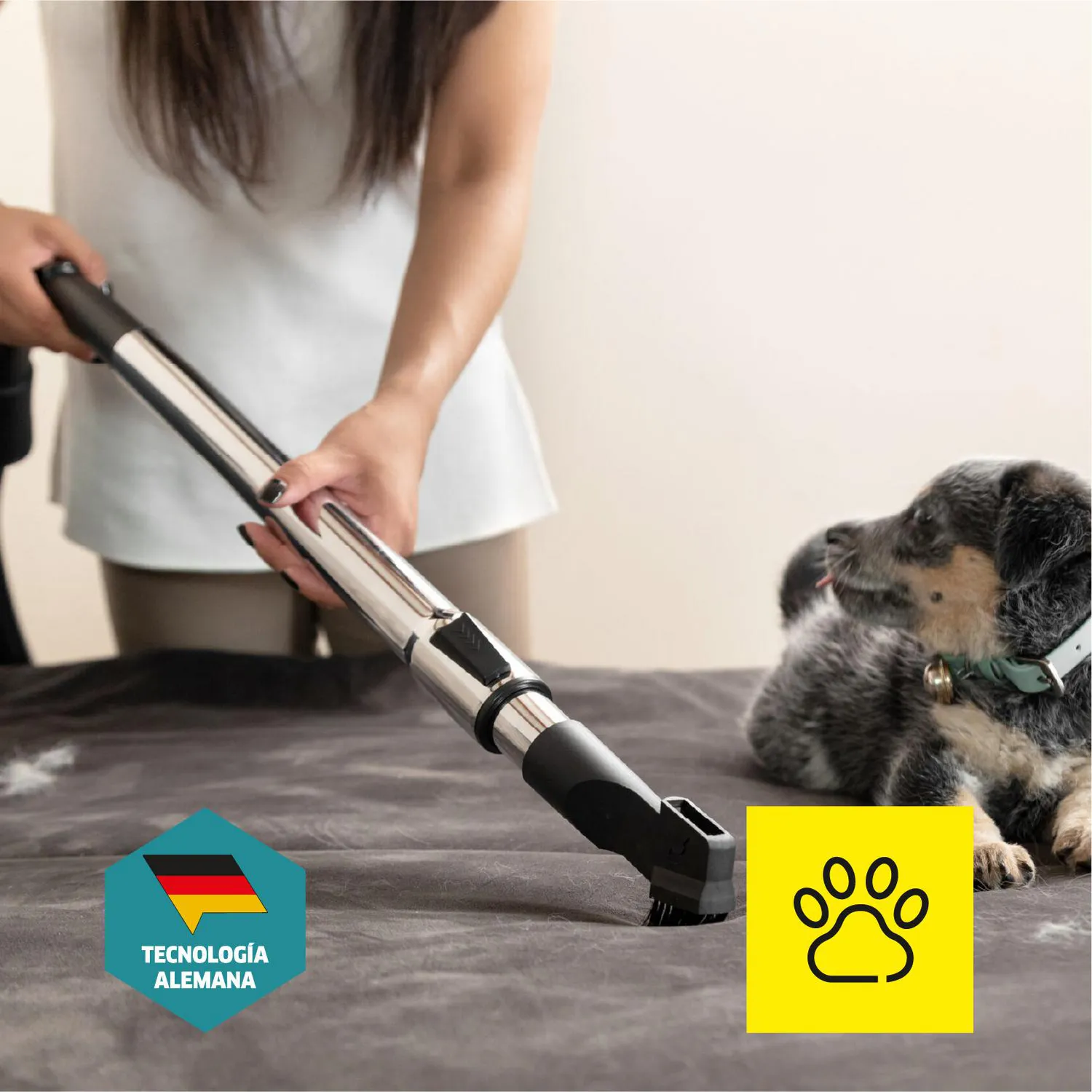 Aspiradora Sin Bolsa Vcl3 Cyclonic 1000w Karcher Blanco 7