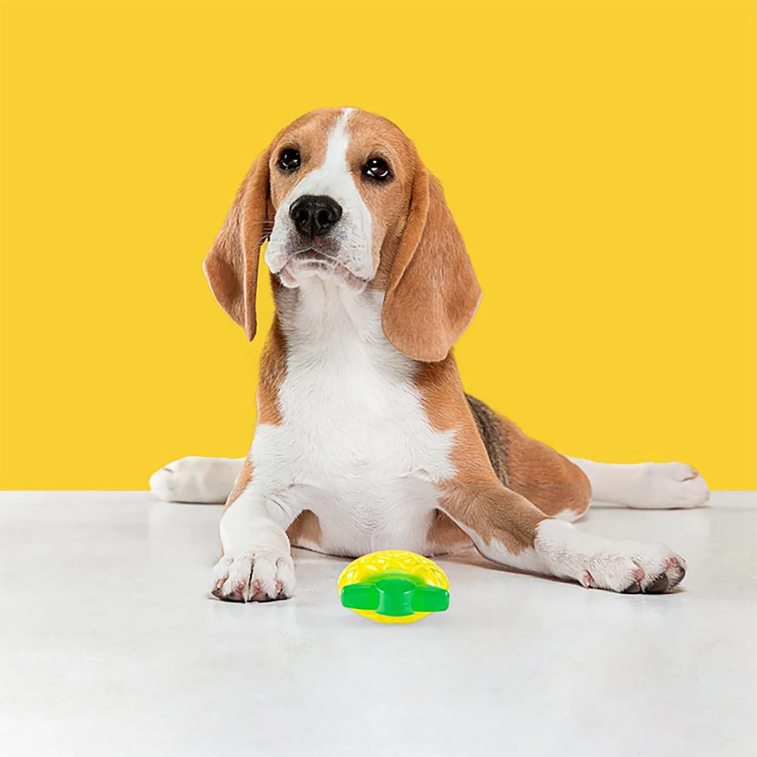Piña Jelly para Cachorros Sonido Medio Dogl