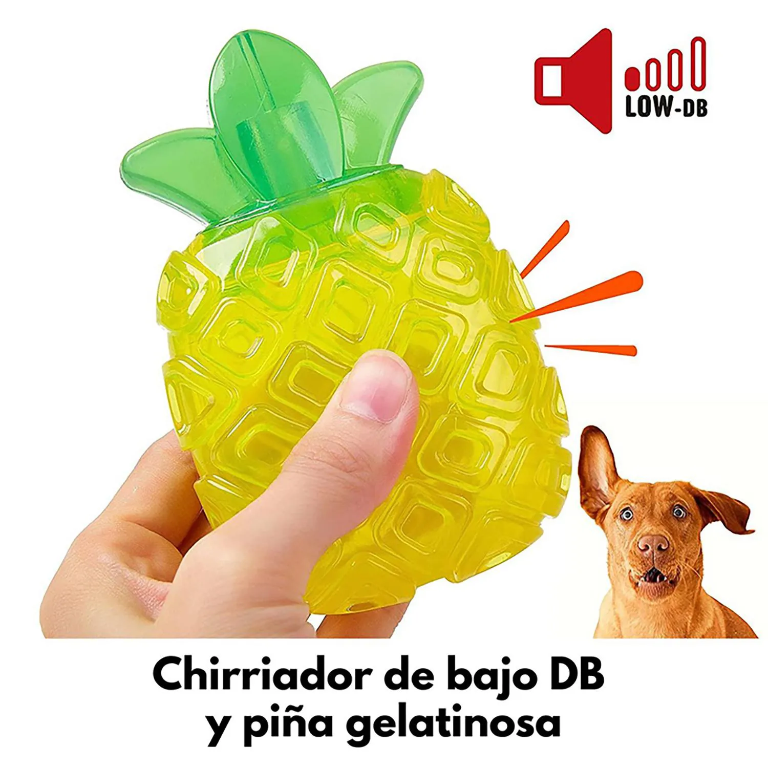 Piña Jelly para Cachorros Sonido Medio Dogl 4