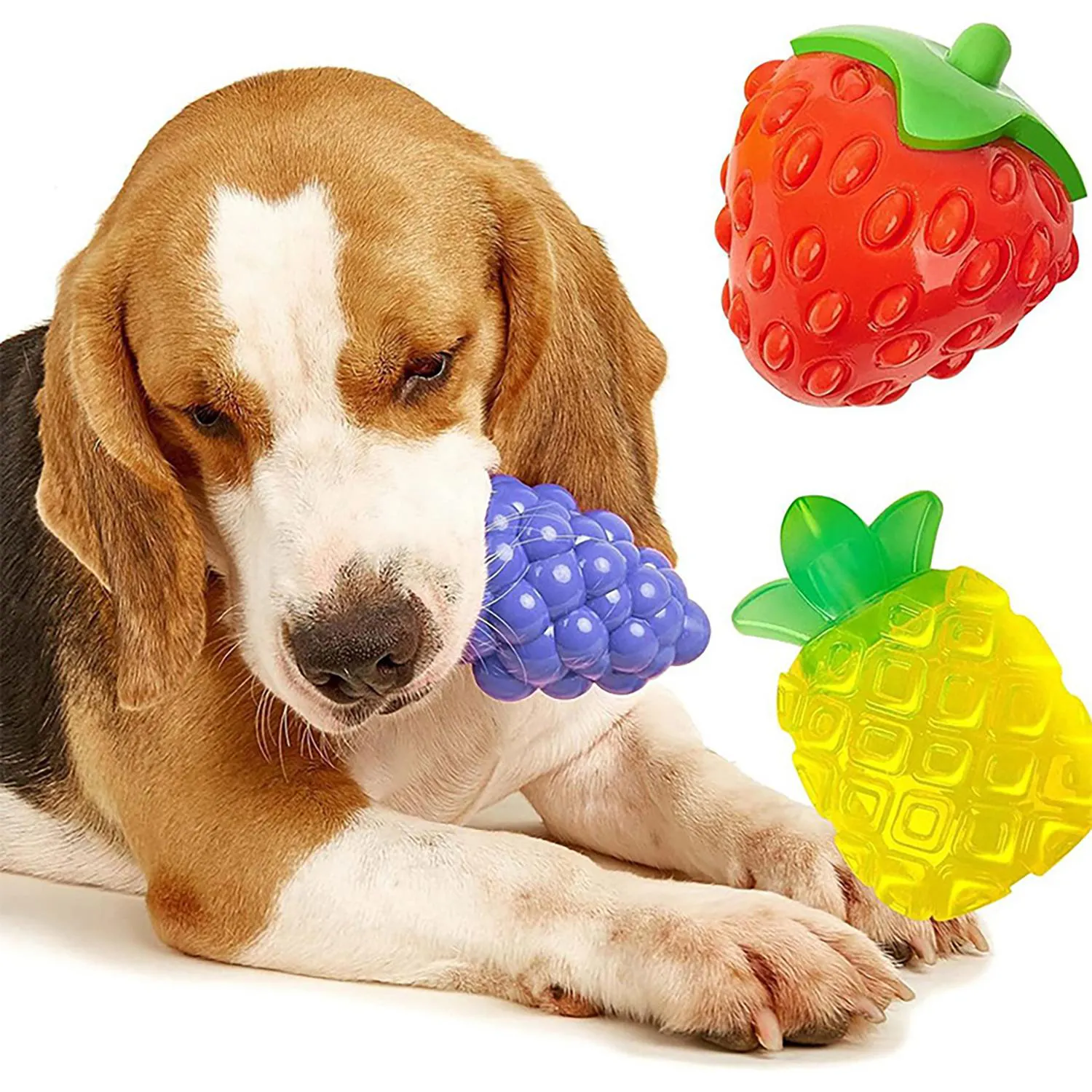 Piña Jelly para Cachorros Sonido Medio Dogl 5