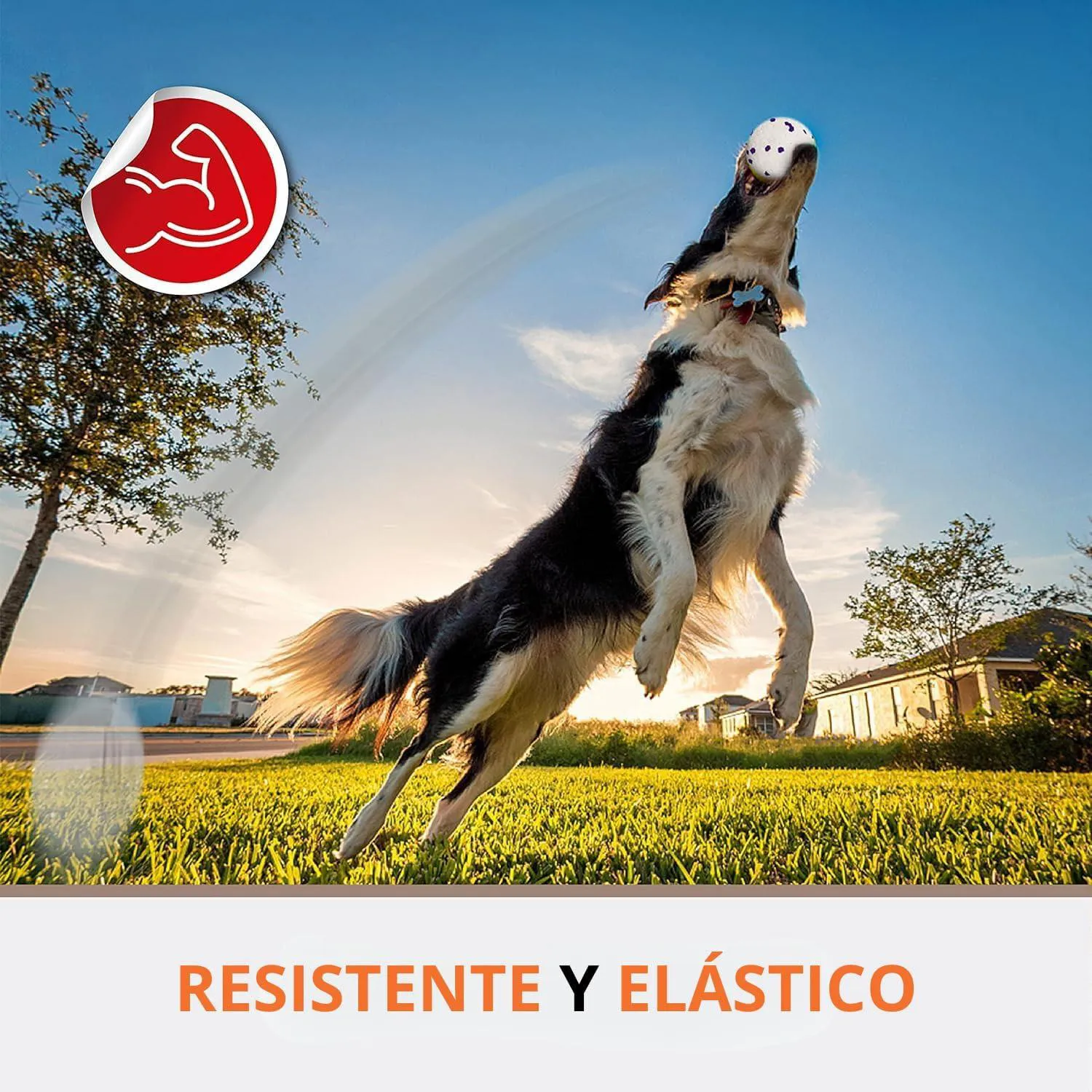 Pelota Etpu Ultraresistente Dogl