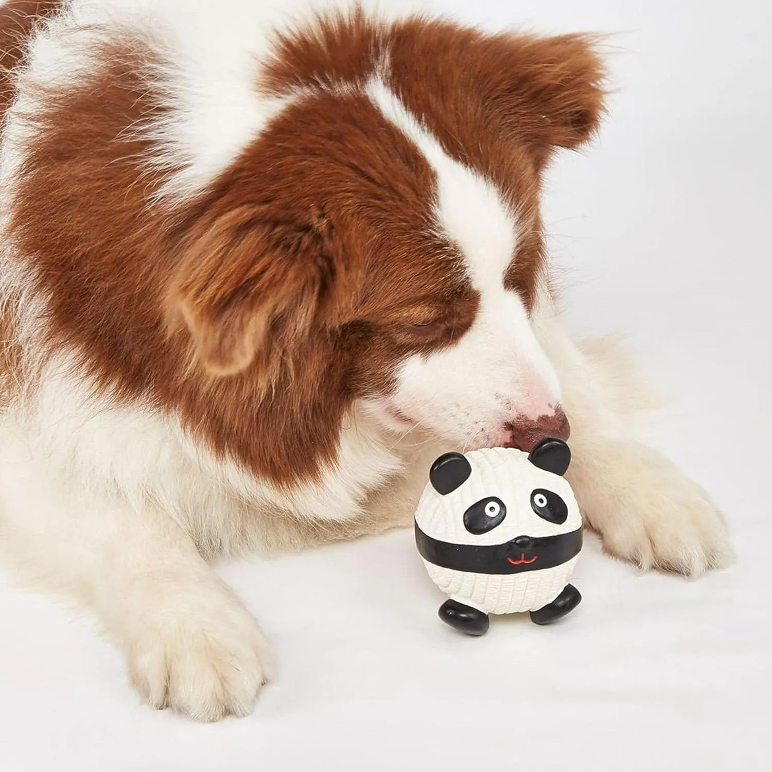 Panda En Bola de Latex Dogm