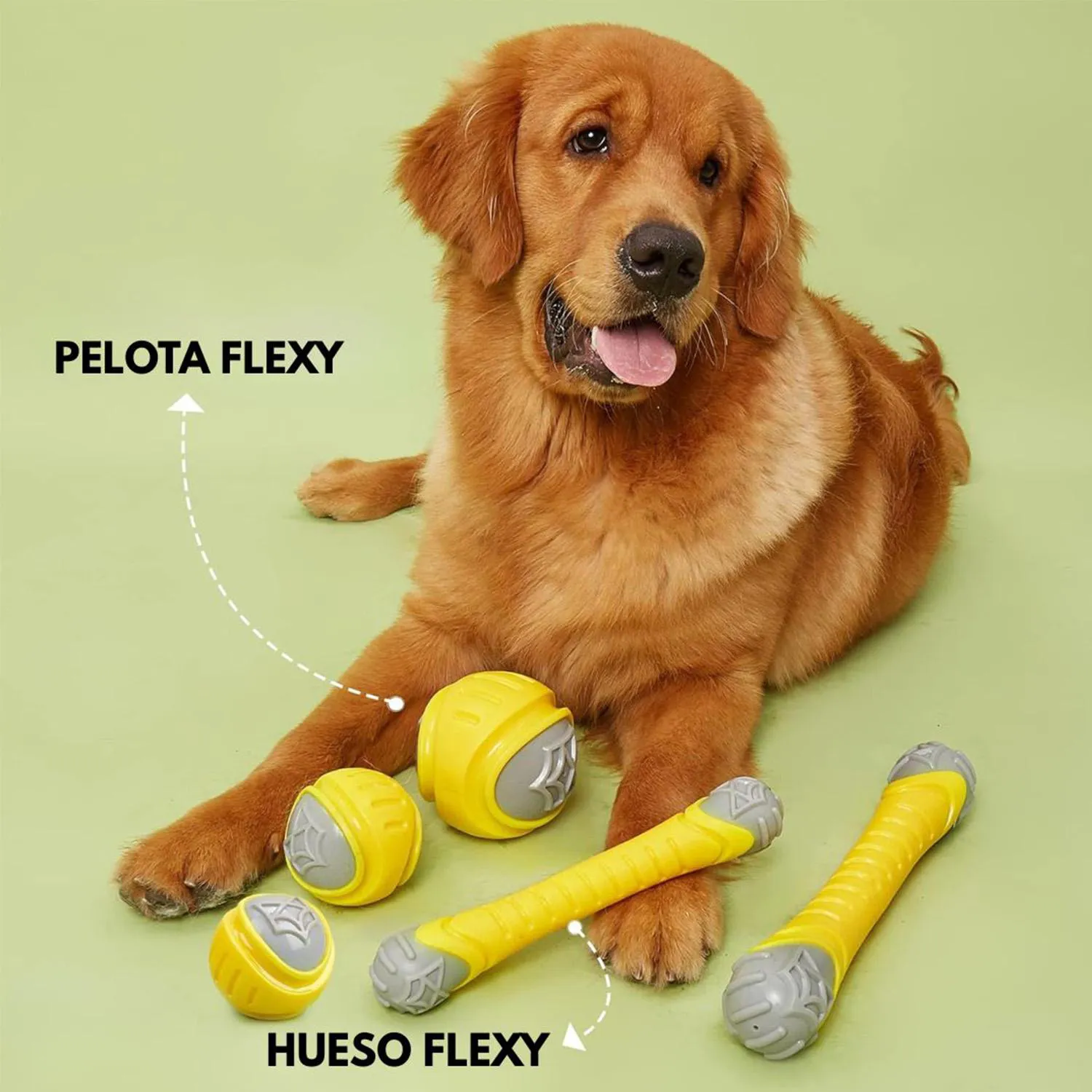 Hueso Flexy Dogl 4