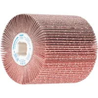 Rodillo Lija Fr-w 100100 a 60