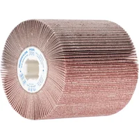 Rodillo Lija Fr-w 100100 a 120