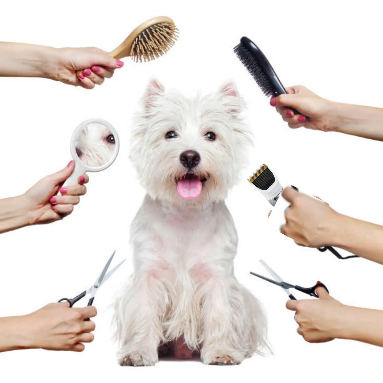 Máquina Cortadora De Pelo De Mascotas Inalámbrica 5