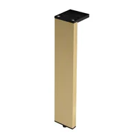 Pata Aluminio Laila 40 mmx200 mm Anod. Oro