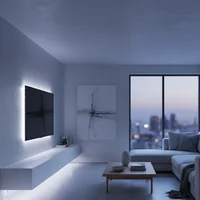 Cinta LED Luz Fría 5 M Ip20