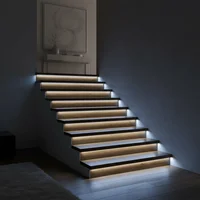 Cinta LED Luz Fría 5 M Ip44