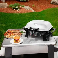 Asador A Gas Portatil2 Quemadores Con Tapa 50X38Cm Mr Beef