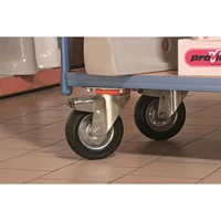 Ruedgiratc/Frengoma100 Kg Fixser