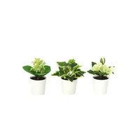 Juego 3 Plantas Artificiales 13cm