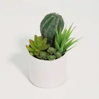 Cactus Artificial 18cm