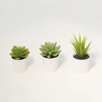 Juego 3 Suculentas Artificiales 14cm