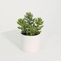 Suculenta Artificial 20cm