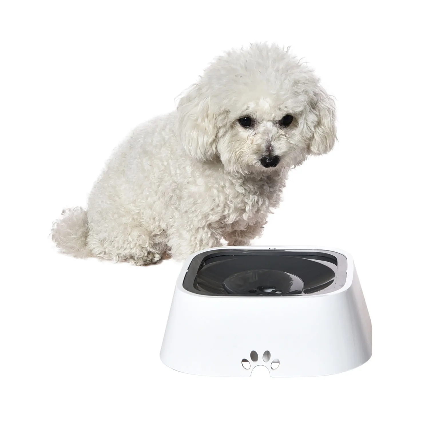 Bebedero Para Perro  Antiderrame 22.5x22.5x7.8cm Blanco Petizoos