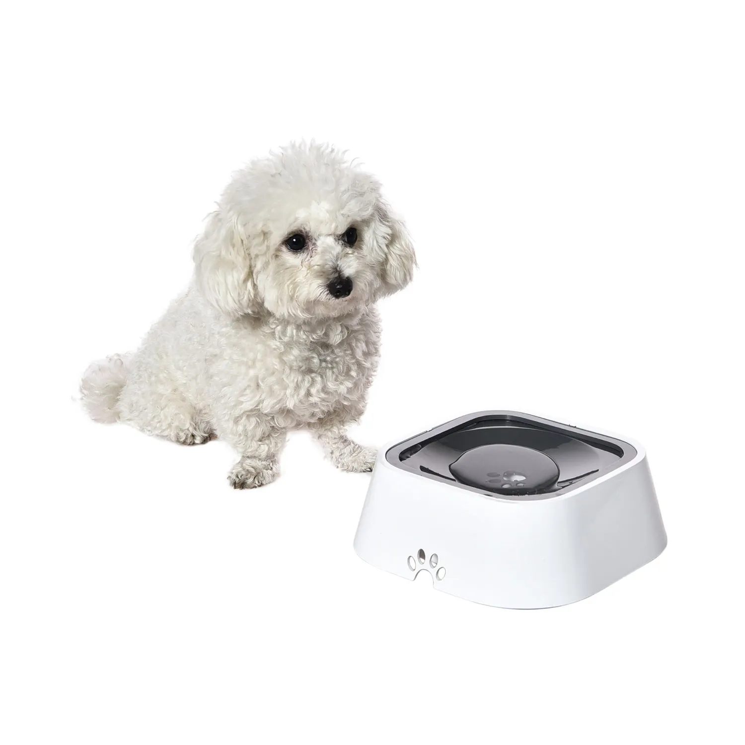 Bebedero Para Perro  Antiderrame 22.5x22.5x7.8cm Blanco Petizoos 3