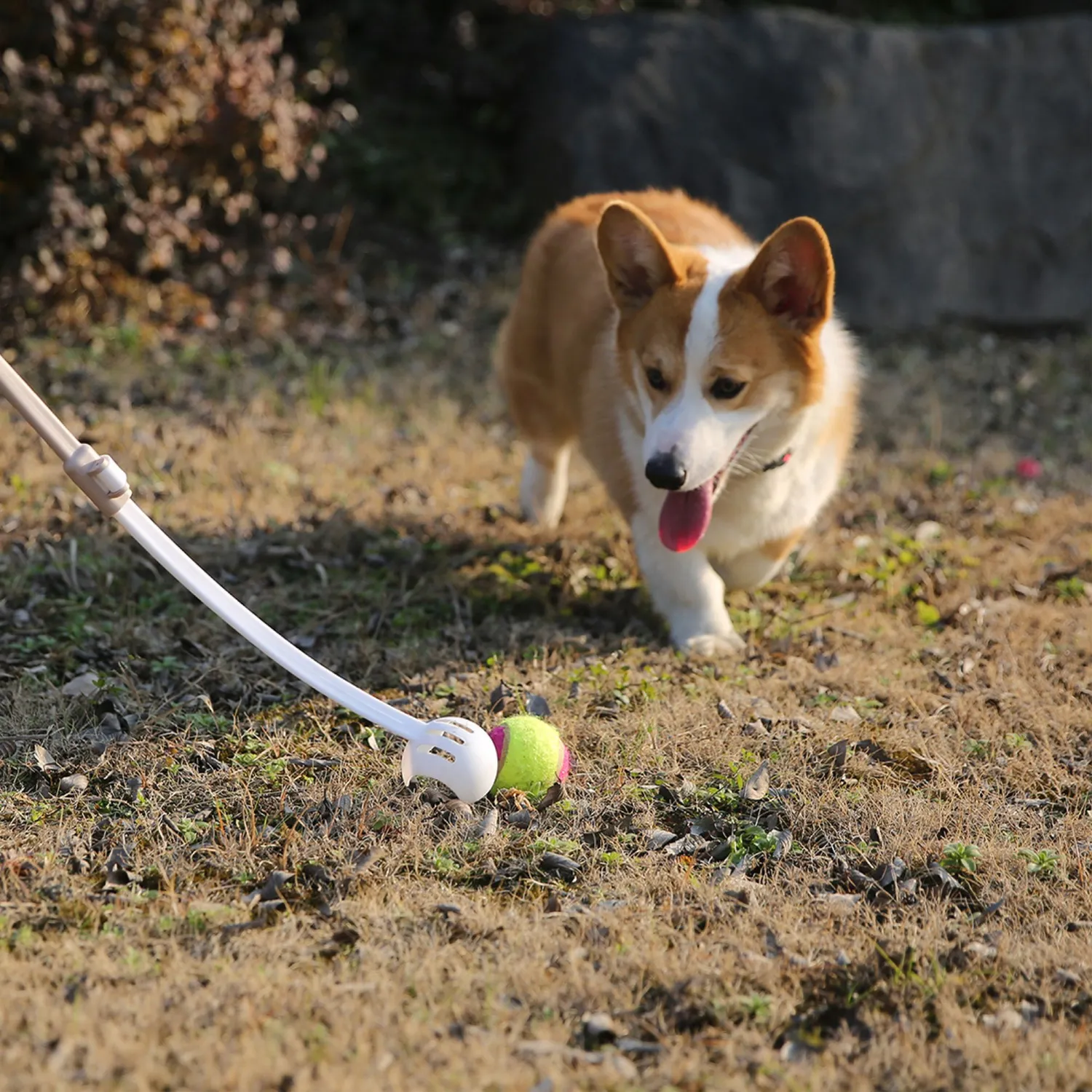 Juguete Lanza Pelotas Petizoos 65 cm 3