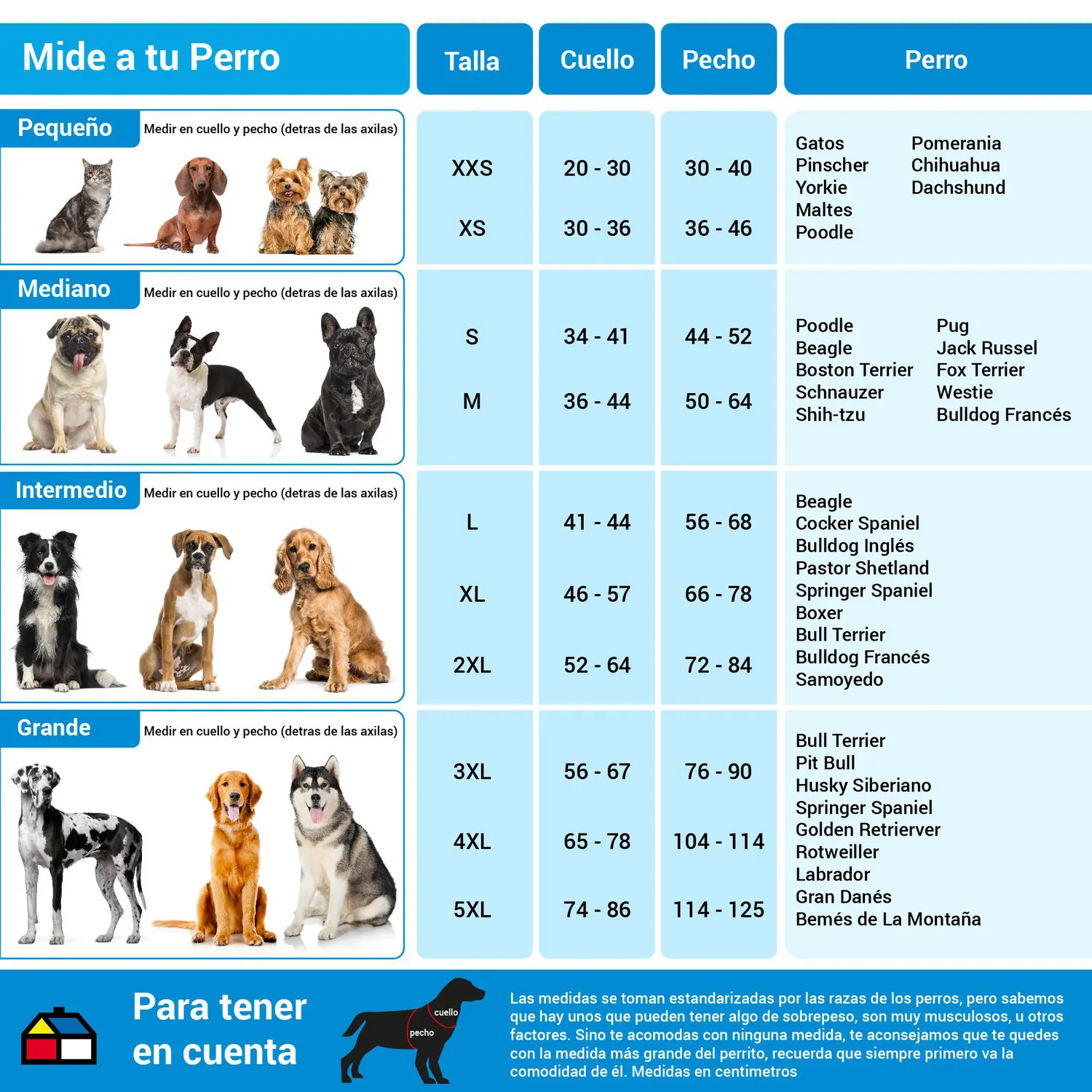 Cama Elevada Para Perro 89x61x20cm Gris 12