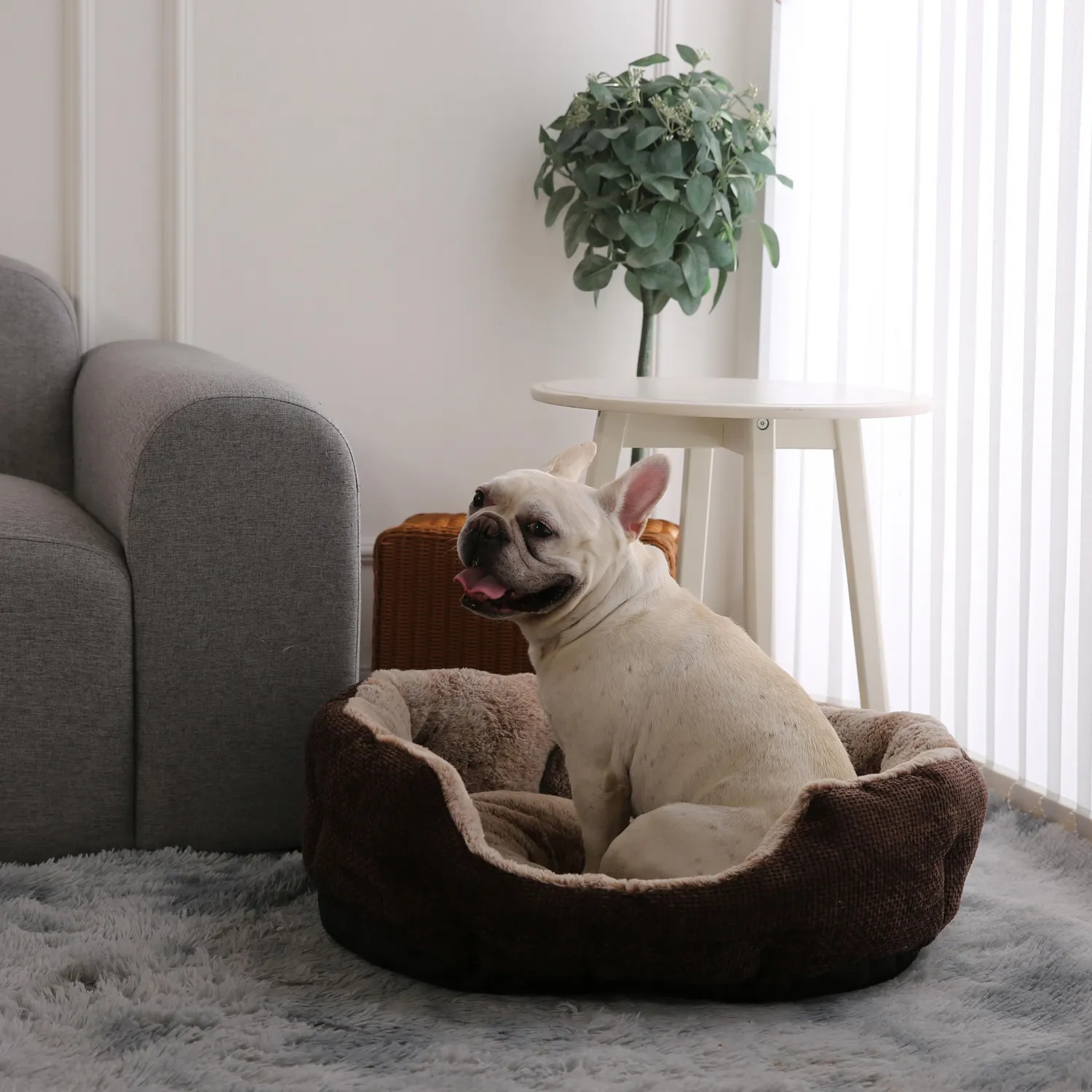 Cama Redonda Para Perro 70x65x18 cm Grande Café Petizoos 4
