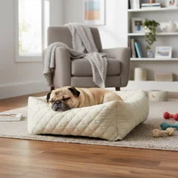 Cama Para Perro Rectangular 60x40x19cm Mediana Petizoos