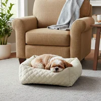 Cama Para Perro Rectangular 47x37x17cm Pequeña Petizoos