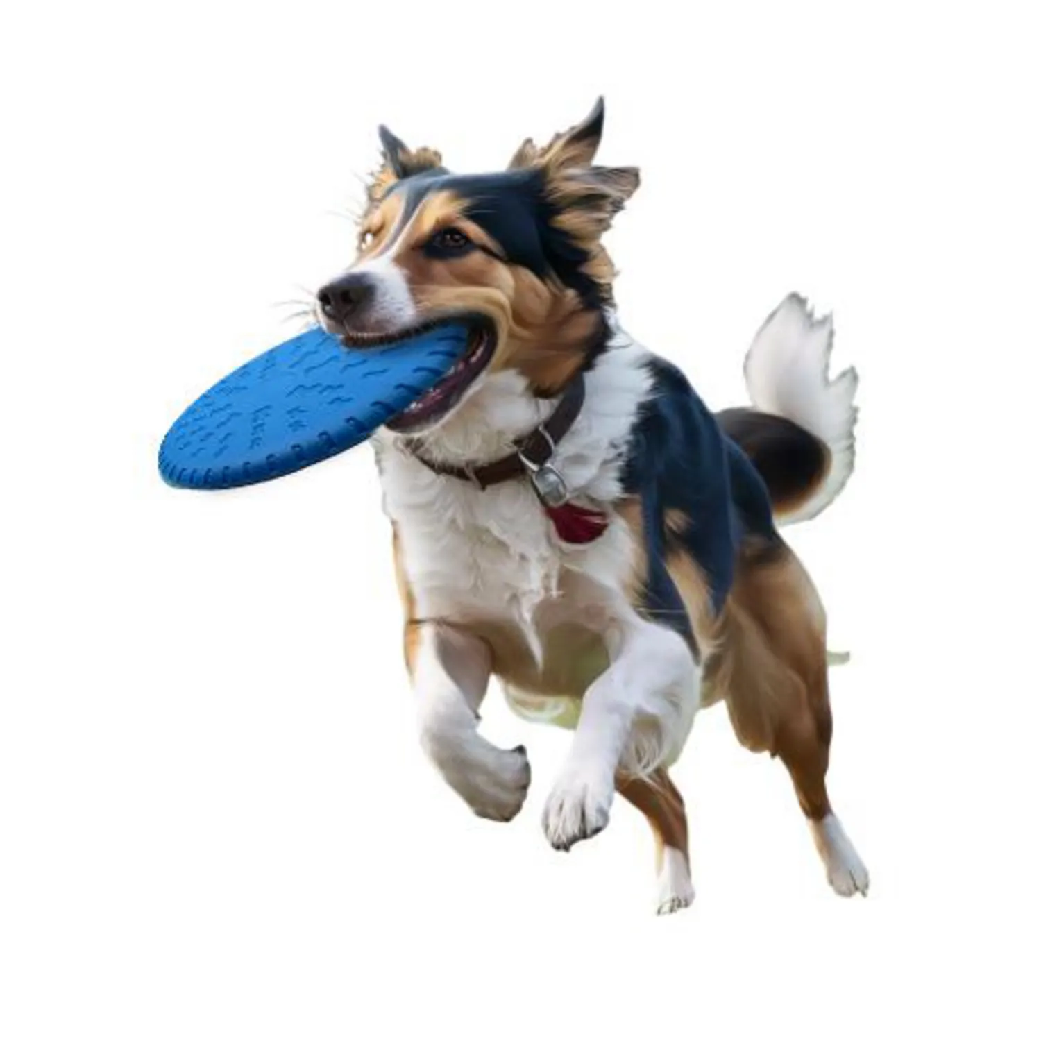 Frisbee Para Perro Azul Petizoos 5
