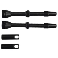 Kit Válvulas Presta A Tubular